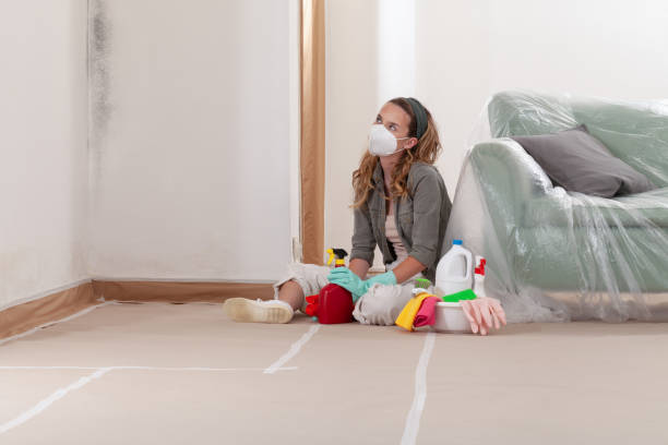 Reliable Black Mold Remediation contractor in Leesburg, FL by Mold Remediation HQ